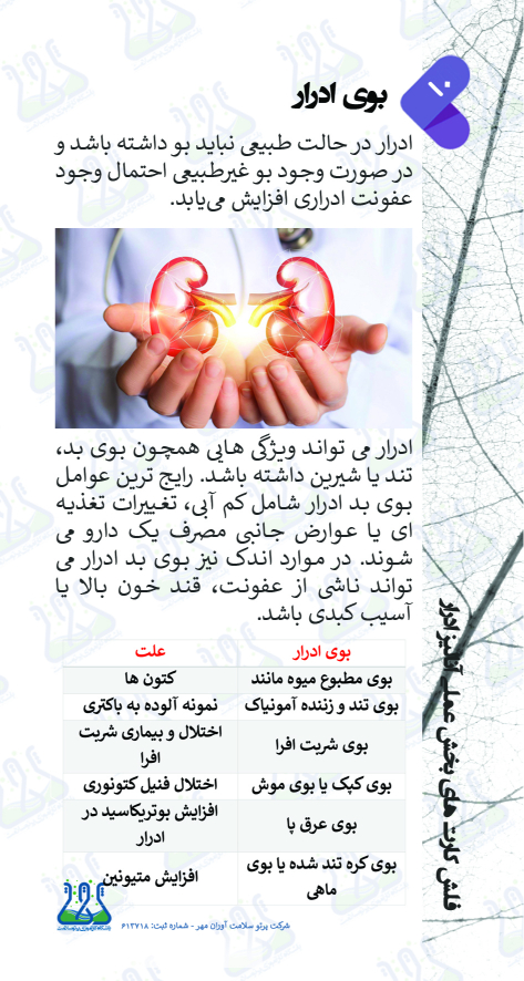 بوی ادرار