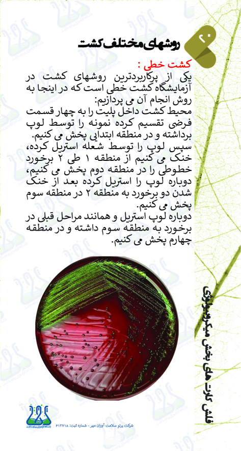 فلش کارتهای بخش میکروب شناسی